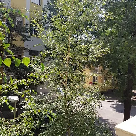 Happy Nest Downtown Apartment